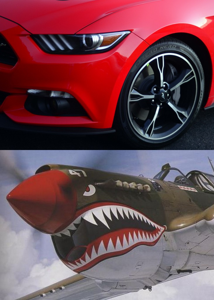 Shark_Mustang